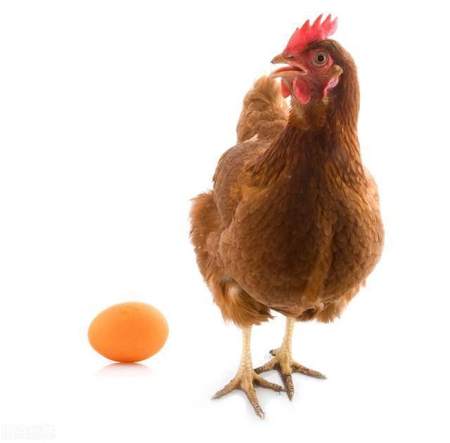 6241f8d0f3ef47a28332d76af9265dc4.jpeg