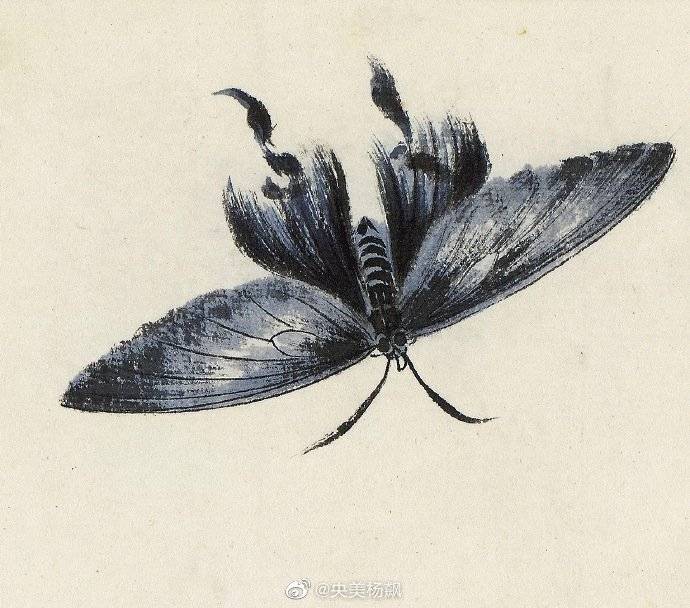 齐白石画的虫子惟妙惟肖,关注我