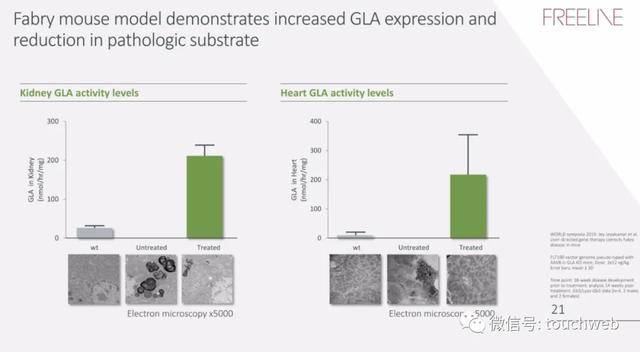 疗法|基因疗法企业Freeline冲刺美股：拟募资过亿美元 路演PPT曝光