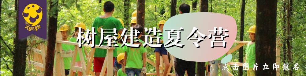 孩子|你会选网红款还是大品牌？这些儿童电动牙刷花样真多呢