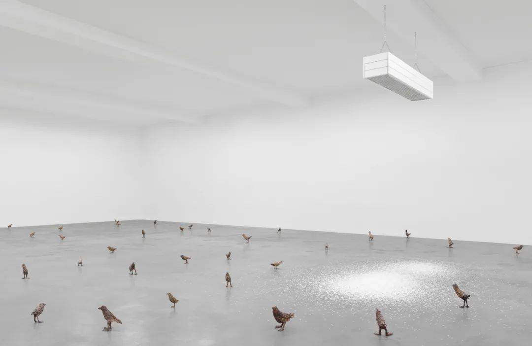 知识科普|怎么用 “艺术” 形容孤独感？