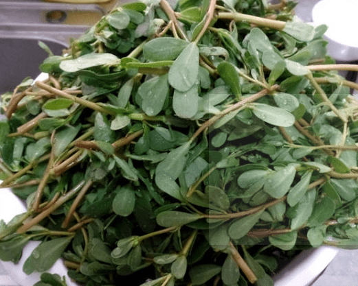立秋后,不妨多食以下野菜,清热解毒,杀菌消炎,早食早