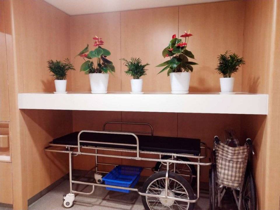 患者|内分泌代谢中心——情真意切似家人 耐心负责好服务