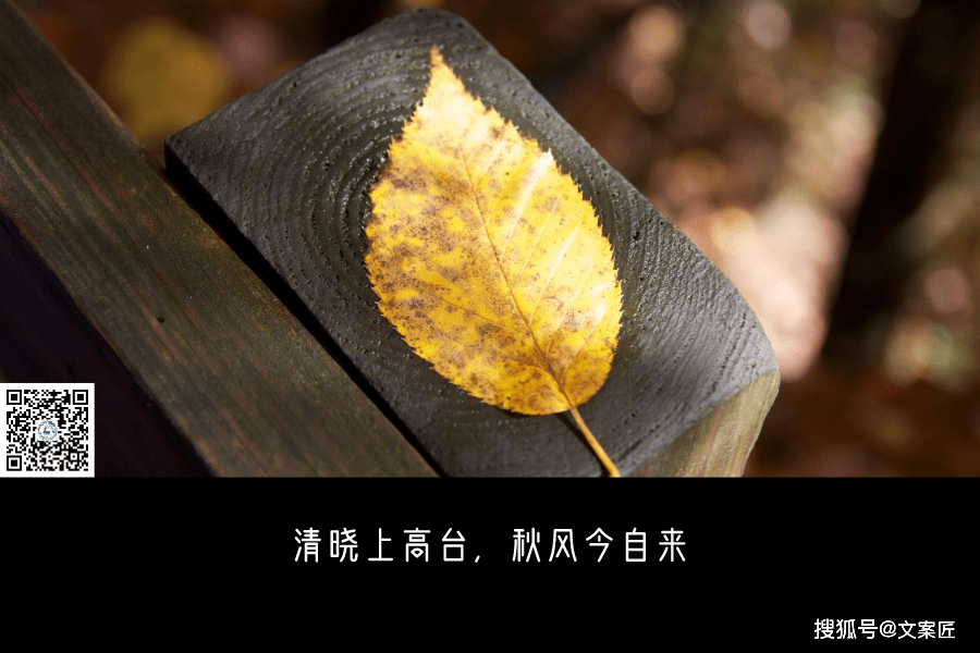 24句立秋文案,品牌借势灵感来了!