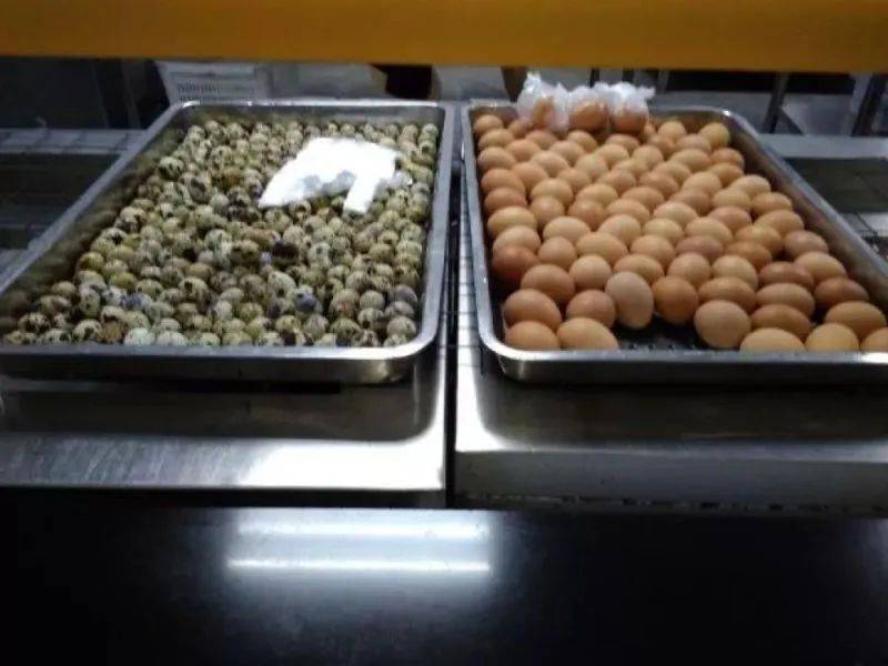 女子|高职高考必看｜全面了解广东女子职业技术学院