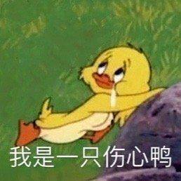 猫和老鼠表情包合集|我没事,我很好