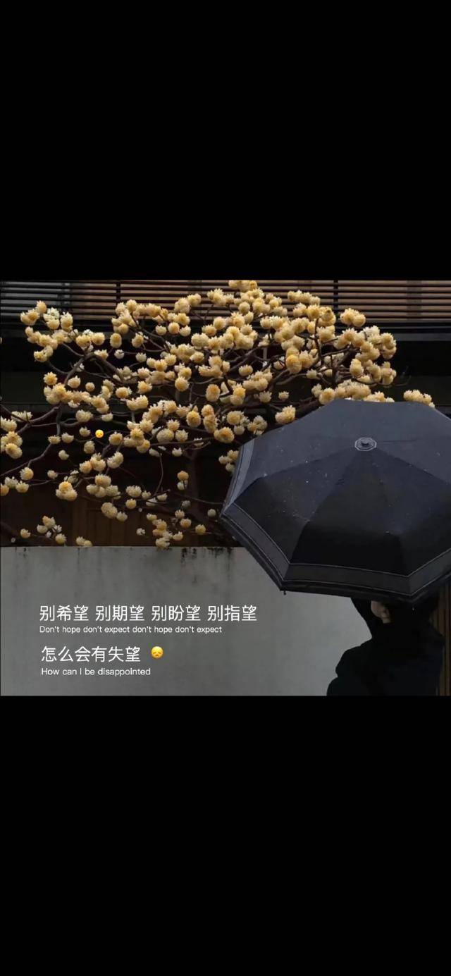 原创短句:我们不都是这样,在做错后道歉,却又不知悔改