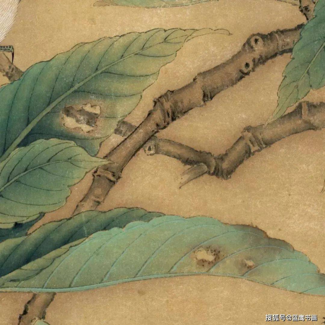 笔墨|三幅临摹的宋朝工笔图，逼真好看，笔墨巧妙精致