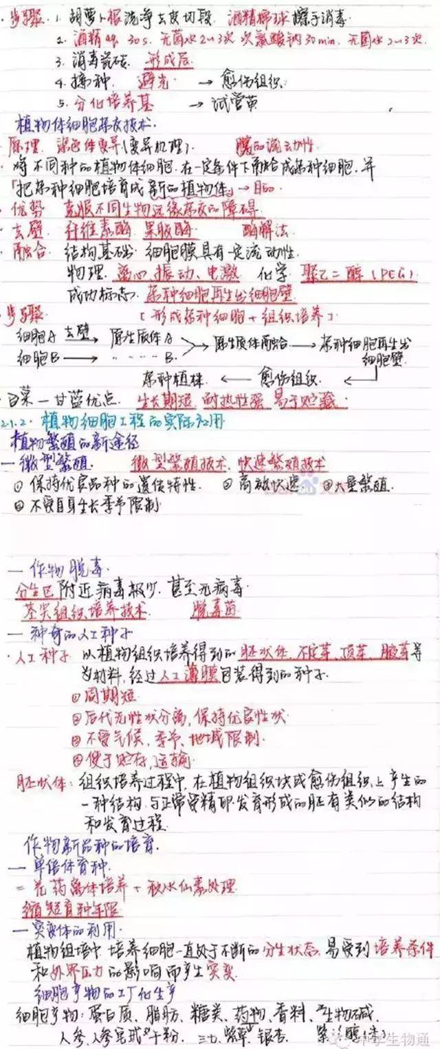 337db5c85a6f47879f73bec916ff336d.jpeg