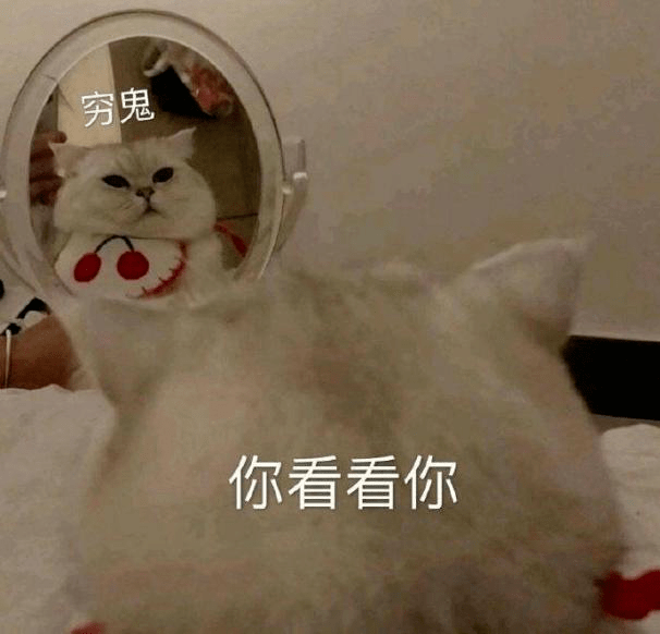 b1d64254afc1437fa107b6c40309631e.png