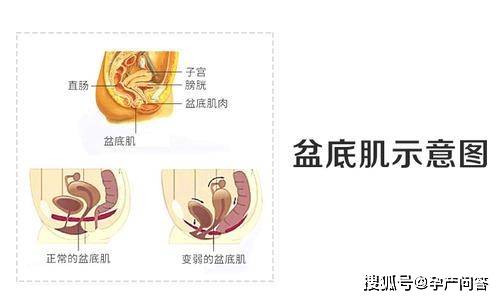原创马伊琍发“我买了一盒阴道哑铃”,网友疑被盗号:中国女人太可悲 原创马伊琍发“我买了一盒阴道哑铃”,网友疑被盗号:中国女人太可悲