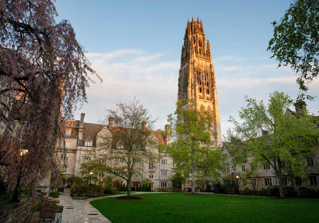 招生|不知道留学文书怎么写？招生官教你怎么写！