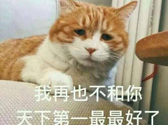 82975ecdd96a44e884ef474e3e8408cd.jpeg