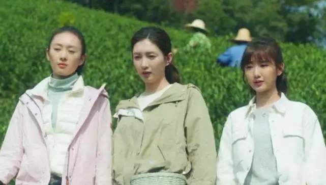 三十而已电视剧大结局介绍 ca707c14c7b3449cbf236a49594c52b6.jpeg