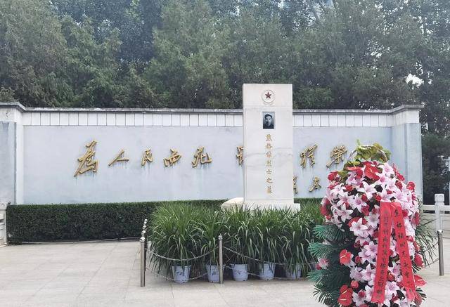 县长发言跑题引出焦裕禄典型事迹,记者采访哭成泪人写出轰动报道_手机