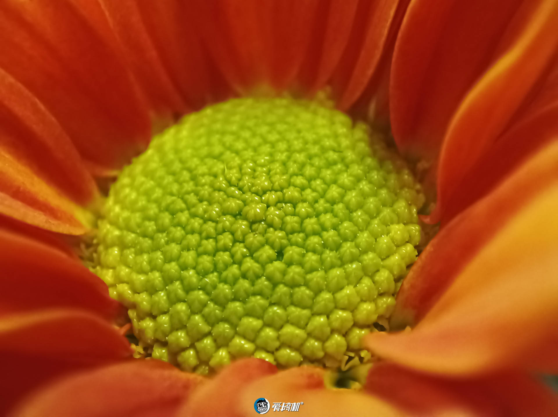 Redmi|香炸了！红米Redmi K30至尊纪念版体验评测