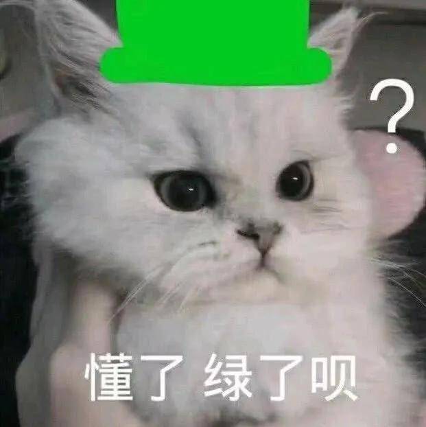 9c8fbc51be5f46e483340463a705350d.jpeg
