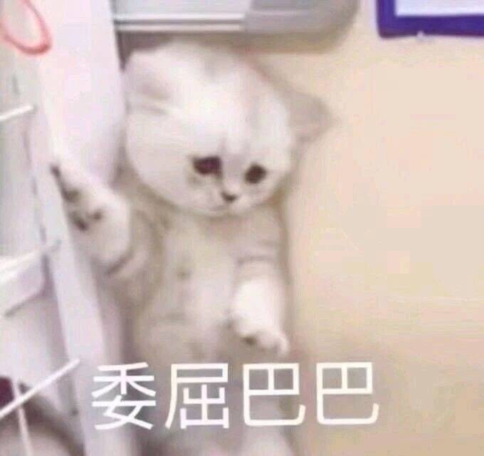 男女表情包拿图片爱你吐舌头的样子委屈巴巴