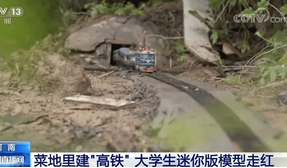 厉害了！大学生在自家菜地里建微型高铁，网友直呼手太巧