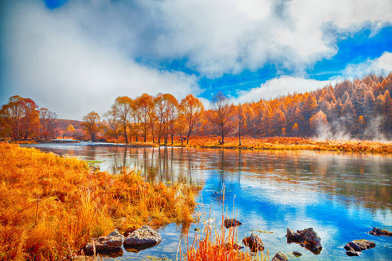 小伙子|但不能节约智商可以节约吃喝和钱财