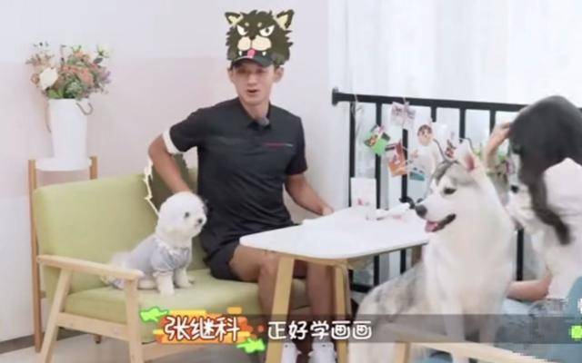 32岁张继科相亲,老爸提出4项标准让人望而却步