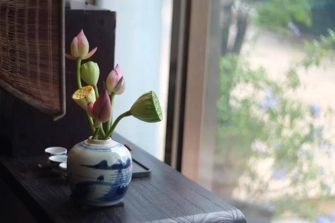 焦味|梅子味、烟味、焦味是高等级老白茶的标志吗？