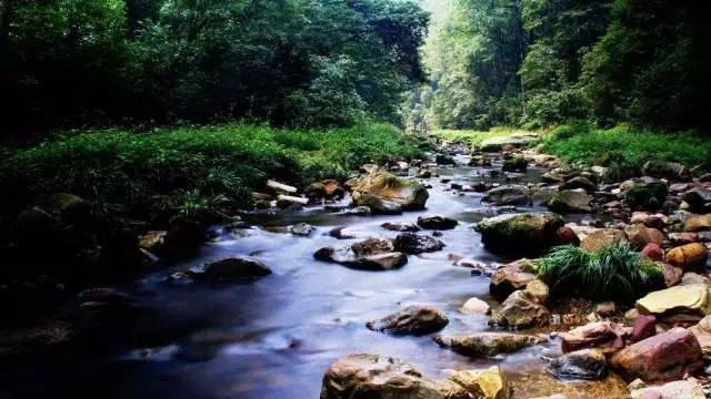 张家界|去张家界自驾游/自助游/自由行旅游攻略？四天吃+住+行怎么安排？