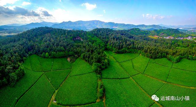 运城南山小镇——南山种桃李,春风满运城