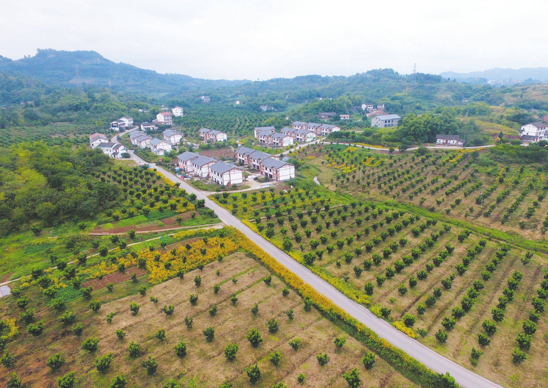 富顺县2020GDP_中国gdp变化图(3)