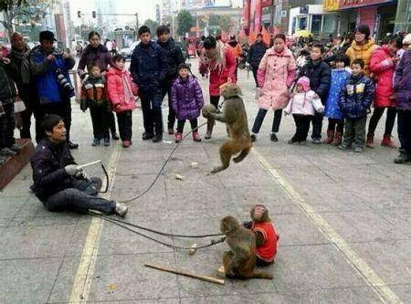 观点评论|年过四十，快要被平庸打败的雷军决定超越自尊和虚荣