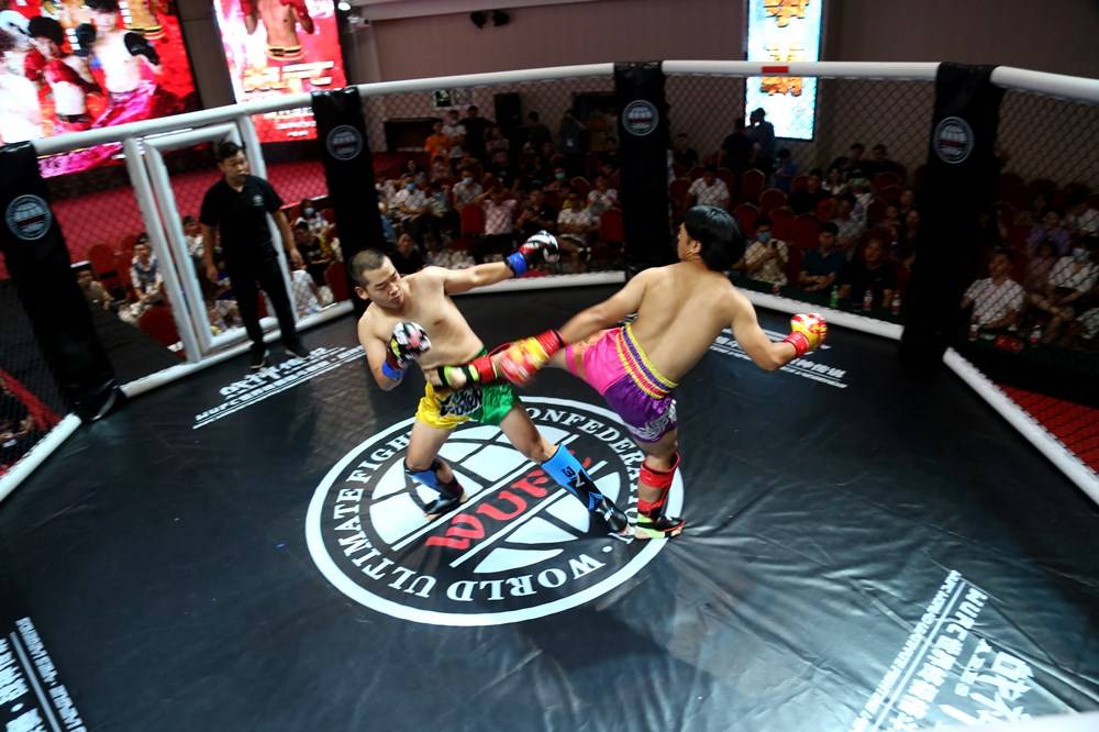 2020WUFC世界终极格斗联赛·拳王争霸在南阳成功举办