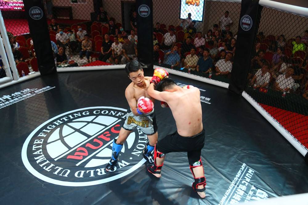 2020WUFC世界终极格斗联赛·拳王争霸在南阳成功举办