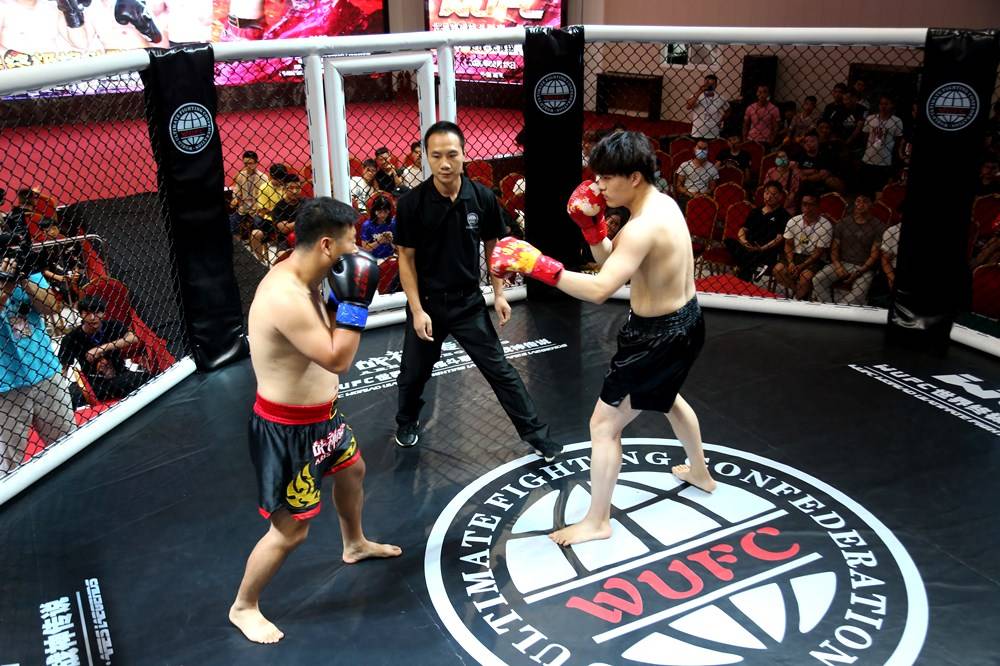 2020WUFC世界终极格斗联赛·拳王争霸在南阳成功举办