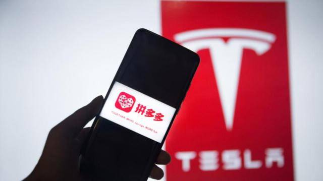 特斯拉|拼多多“路子野”，特斯拉“头最铁”