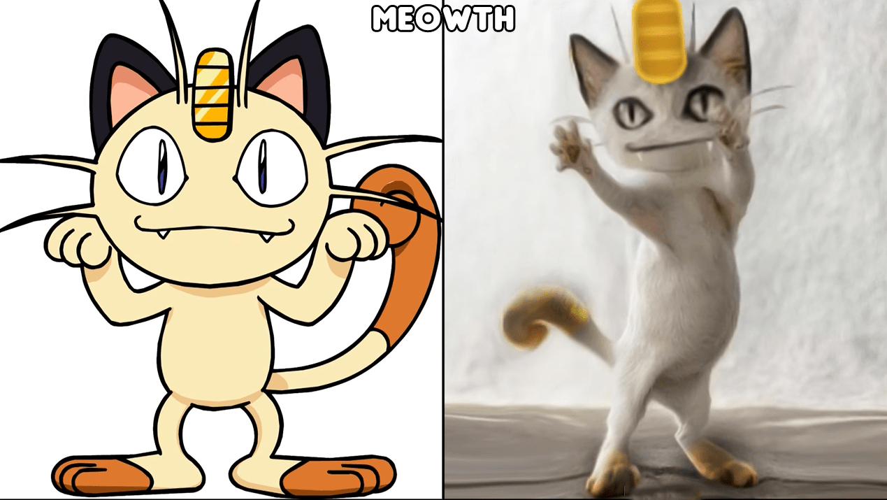 猫老大