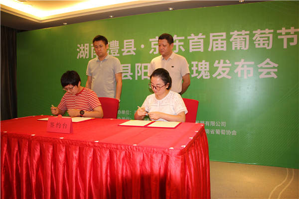 产业|澧县京东生鲜首届葡萄节发布会隆重举行