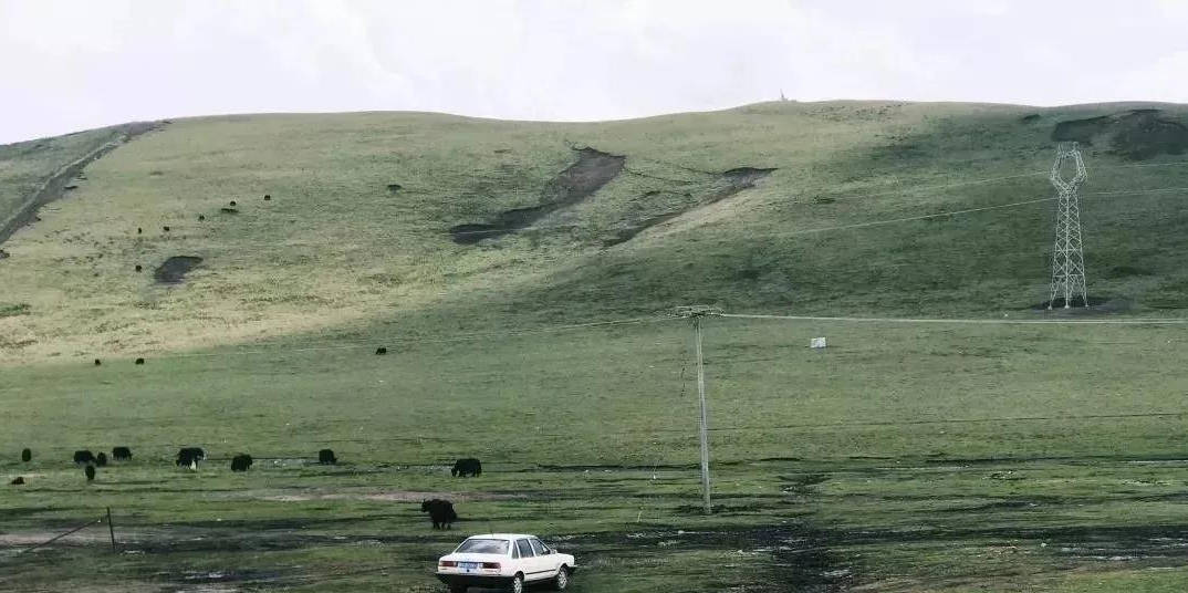 a26464c0c7784ce59902c300ce1a90ee.jpeg