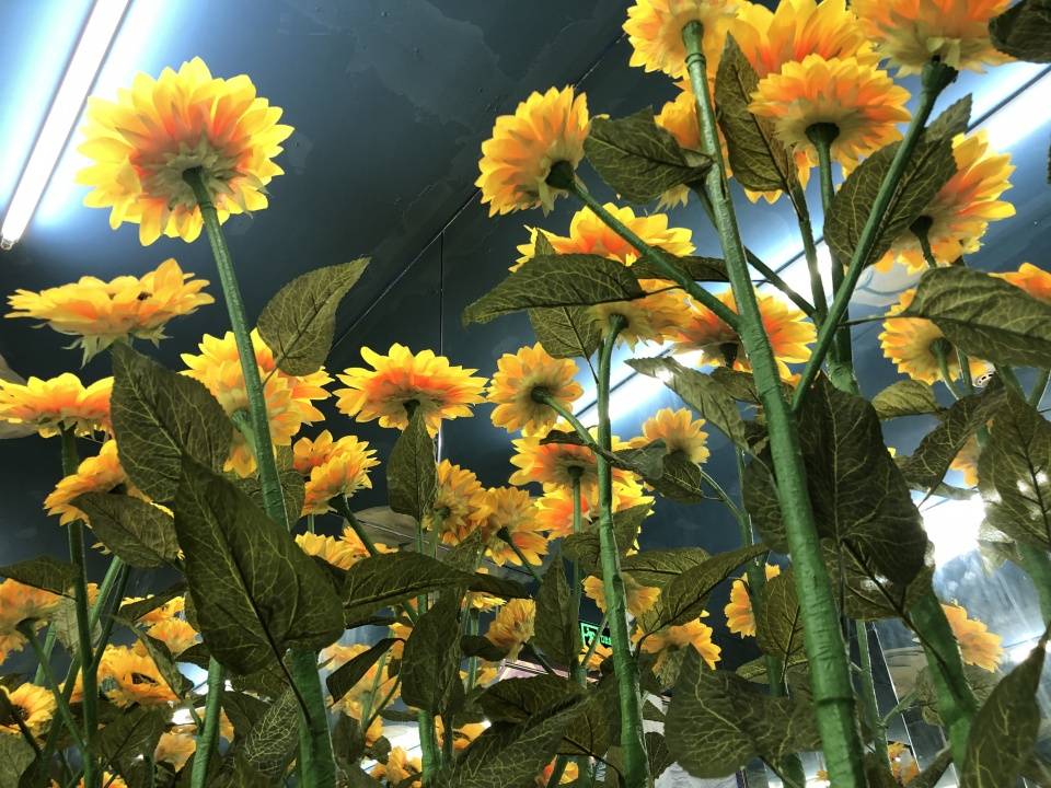 梵高|广州梵高星空艺术馆， 一场魔幻视觉盛宴中，感知传世佳作的魅力