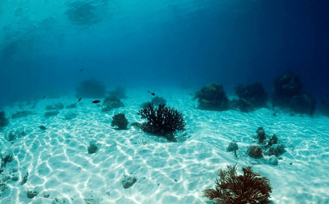 世界上最大的海是哪个大海 29673fb043f84bcb81a9fc4dbbd115fd.png