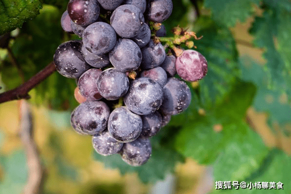 a86d5f797d7c462cb02570e7cbb76227.png