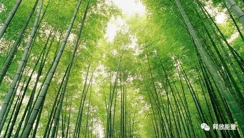 bf6e9295d1dd4c178abccacb305725c6.png