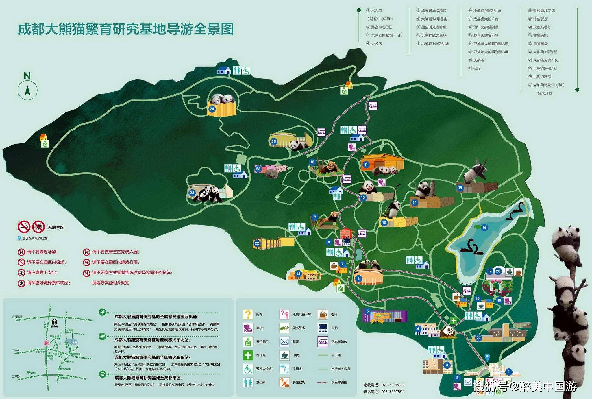原创国内1个亲子游绝佳去处,去成都熊猫繁育研究基地,看呆萌大熊猫