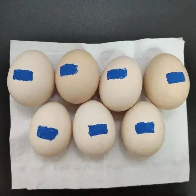 测评|16款儿童含氟牙膏测评：半数含有刺激性表面活性剂