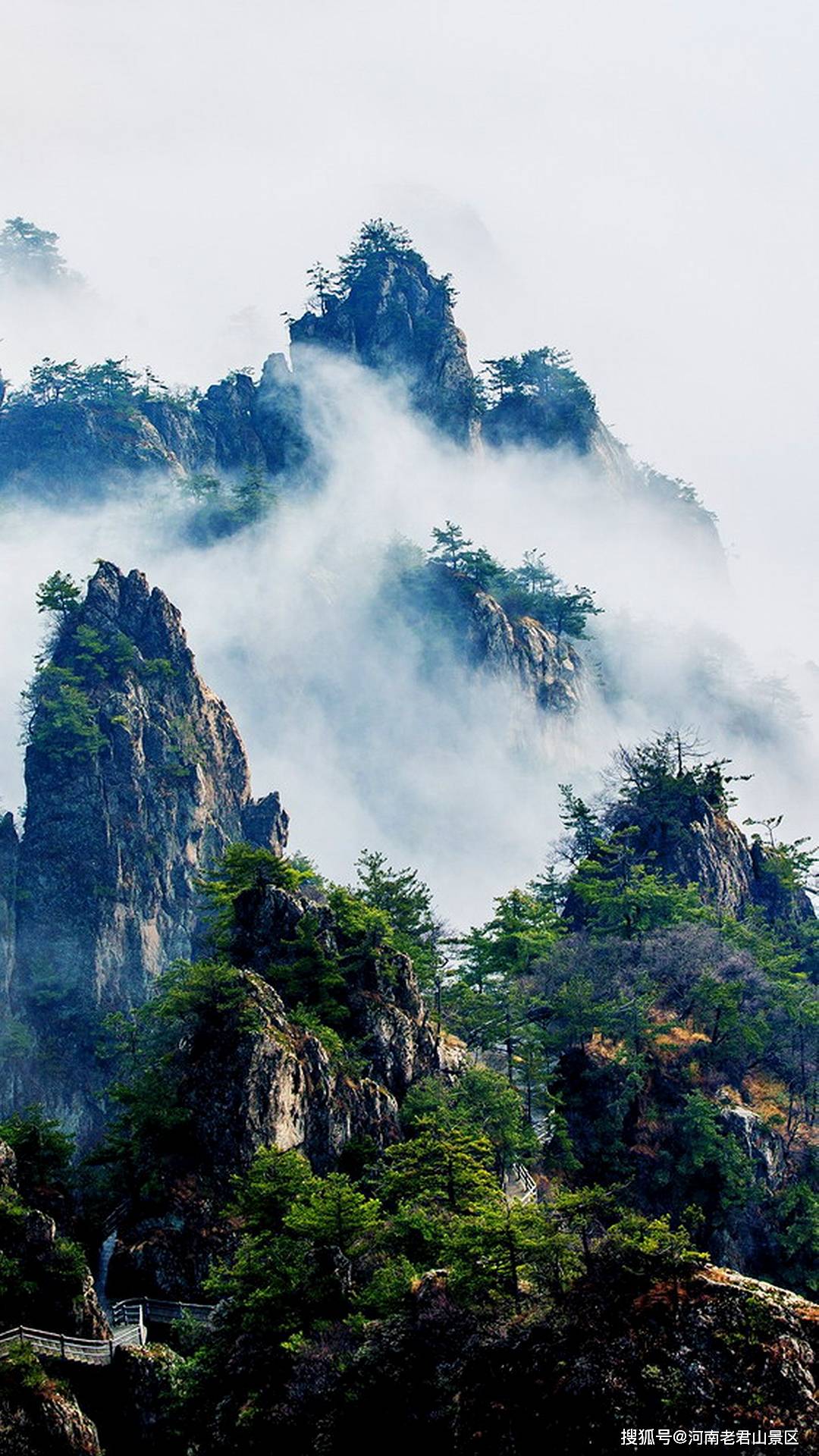 在伸手摘云的老君山流连忘返