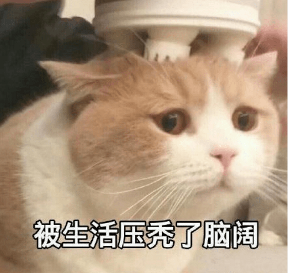 头发|娜扎消失的头发全回来了…这方法比鞠婧祎还高明！