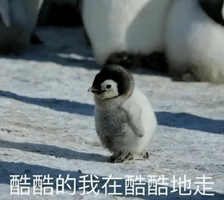 头发|娜扎消失的头发全回来了…这方法比鞠婧祎还高明！