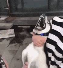 什么全责成语_成语故事图片(2)