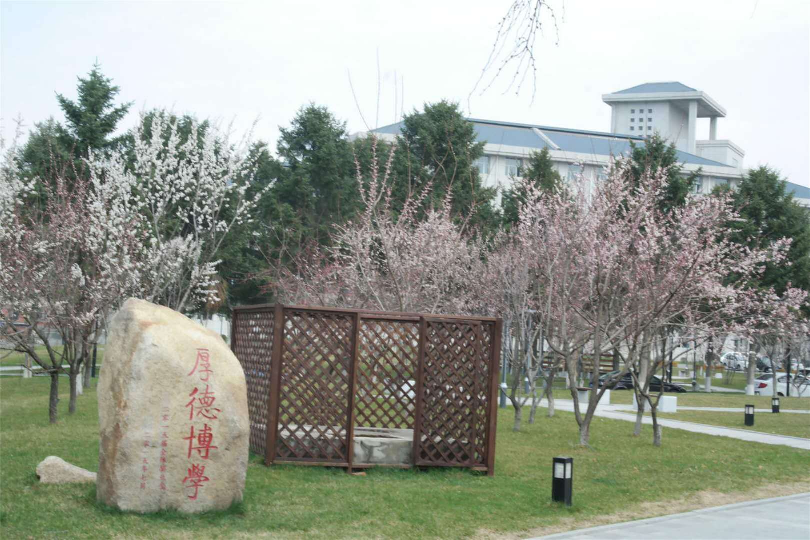 通化师范学院成人高考