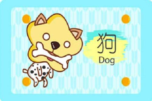 属狗82年属狗什么命
