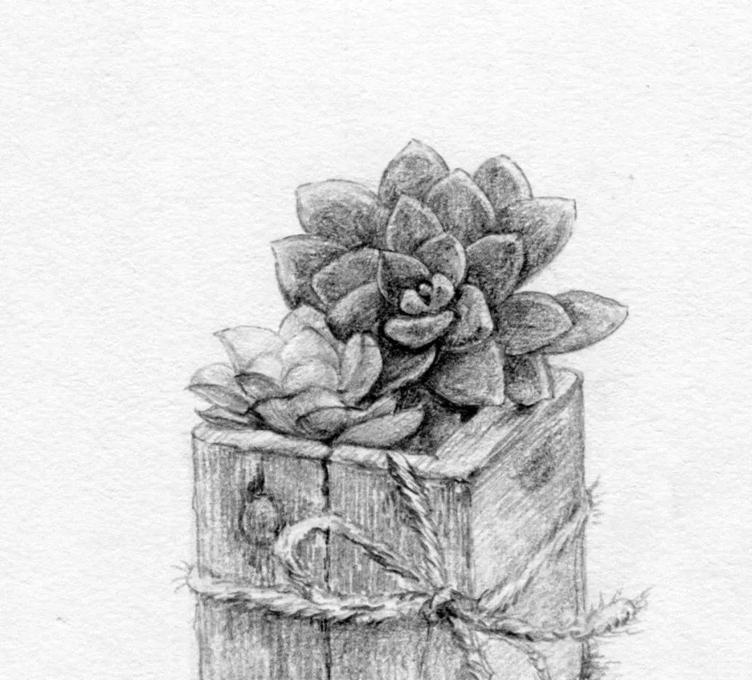 推荐】零基础素描入门步骤画|0基础素描画教学视频！_搜狐网, image size:1080x976